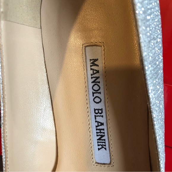 Manolo Blahnik Hangisi flats - Picture 6 of 9